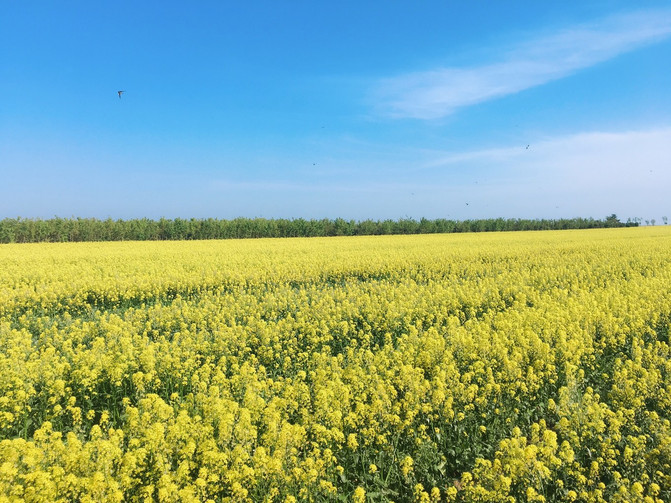 端午节东戴河海边穿什么衣服,能下水吗?