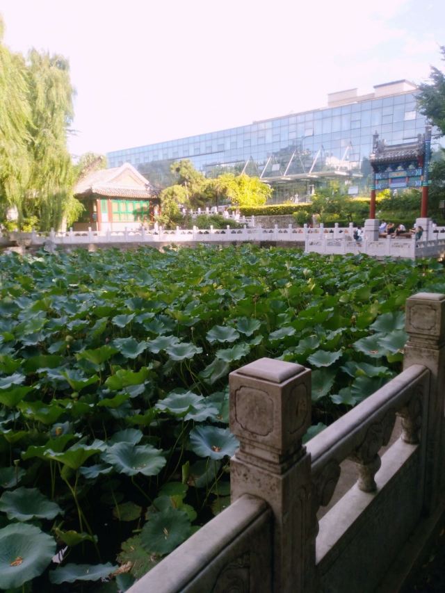 棍贝子府,北京棍贝子府攻略/地址/图片/门票【携程攻略】