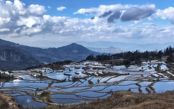 爱春蓝梯田
