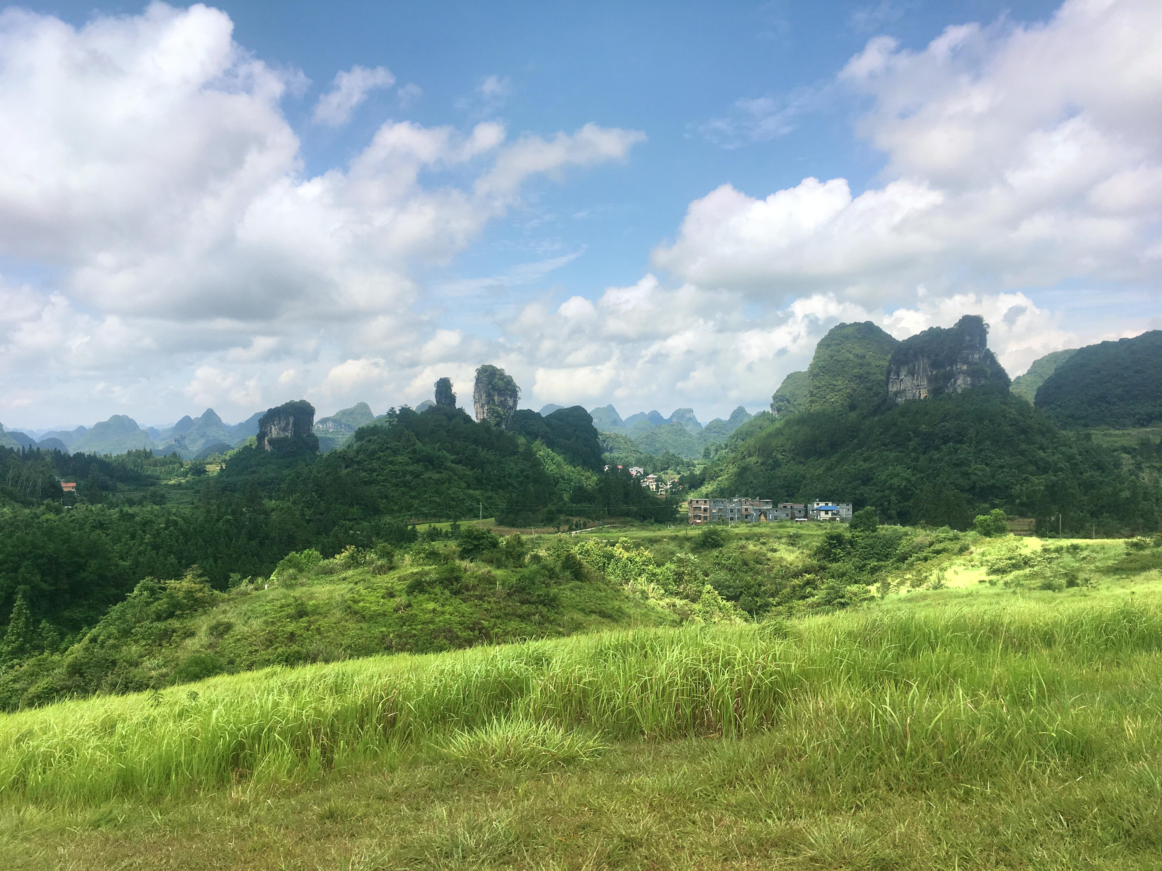 兼爱高山草甸