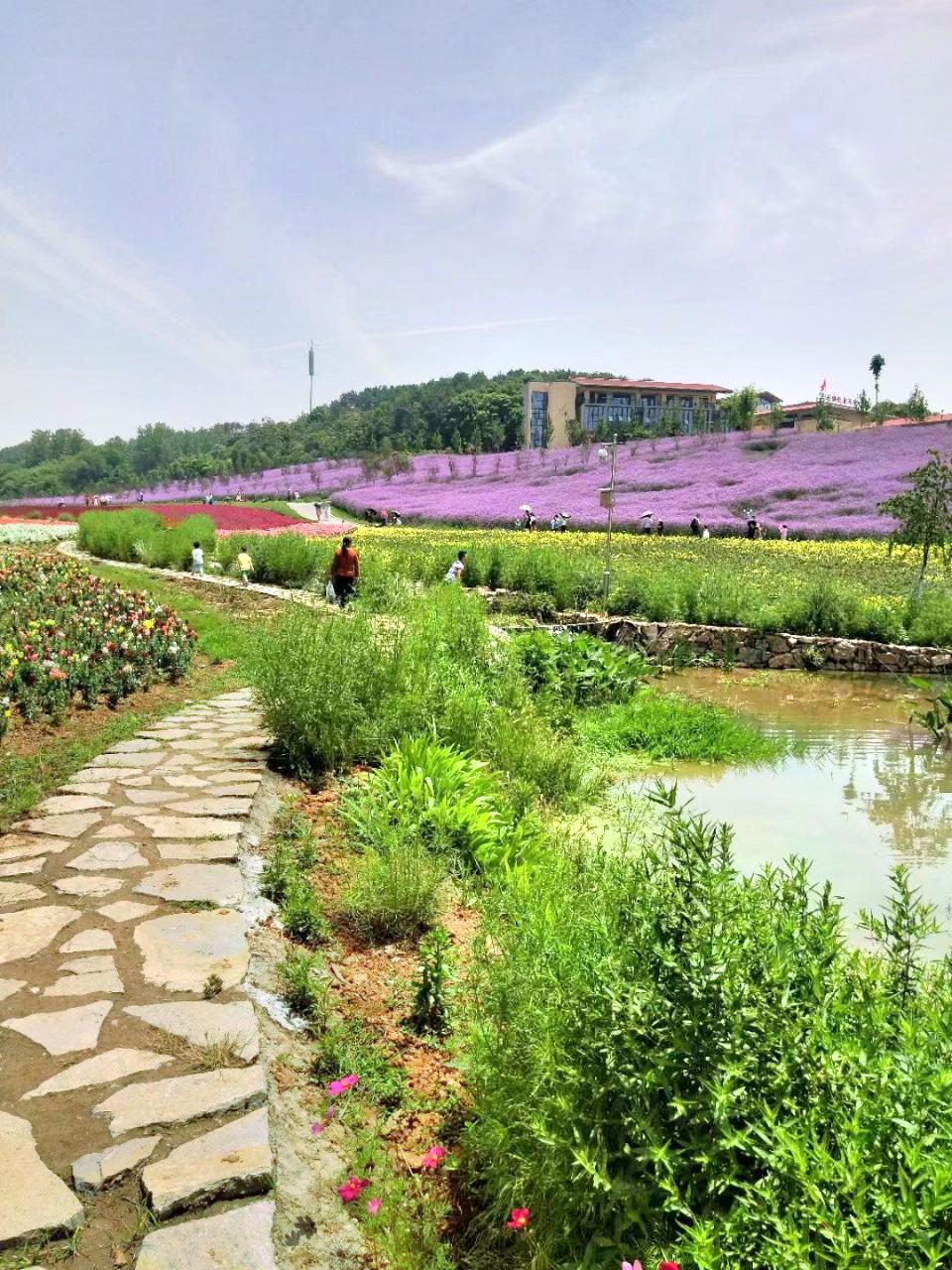 宜昌东方年华桃花园景区