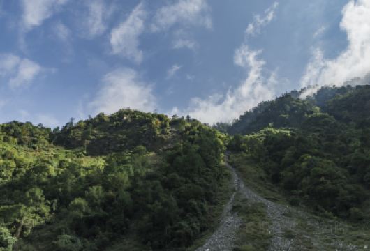 卧龙神树坪熊猫基地+映秀遗址+都江堰一日活动包车三环内接送【[品质出游]品质，不进店购物，无强制消费行程透明！】