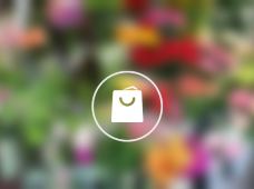 象山花千束(探春花艺)图片