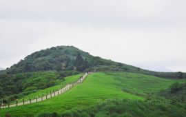 台北擎天岗草原天气预报 历史气温 旅游指数 擎天岗草原一周天气预报 携程攻略