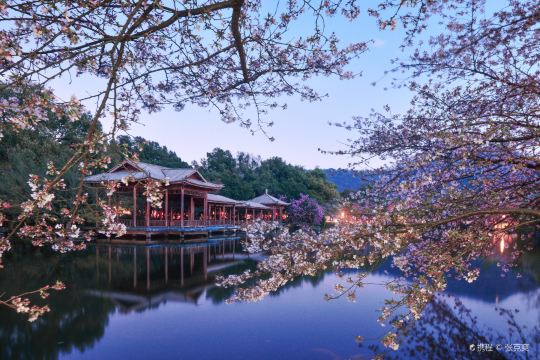 杭州宋城黄龙洞景区花港观鱼一日游西湖游船多套餐可选宋城千古情演出