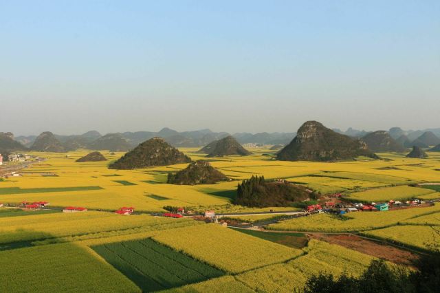 羅平金雞峰叢攻略,羅平金雞峰叢門票/遊玩攻略/地址/圖片/門票價格