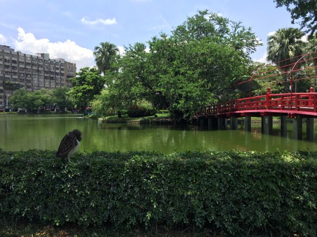 台中公园