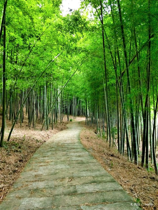 黄湾尖山村