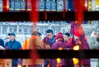 九华山一日游【九华山游客服务中心集合 一单一团 私家团】【祈福之旅、精华景点全涵盖~】