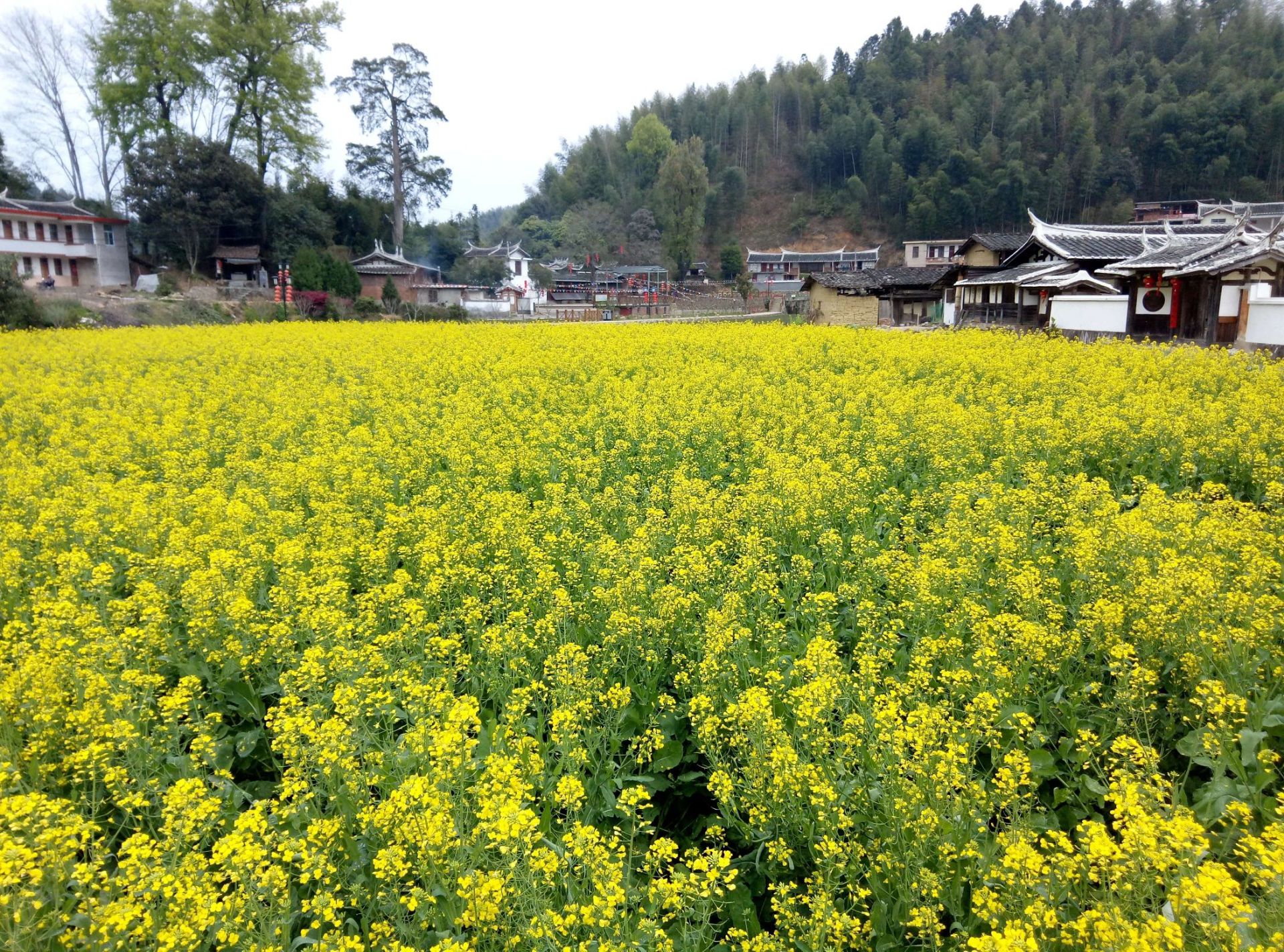 青水古戏台