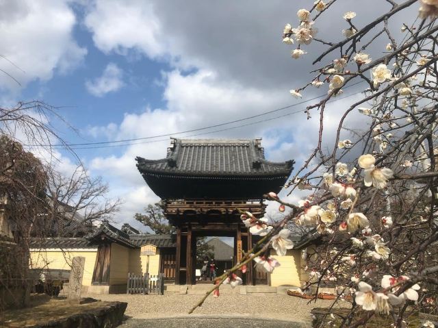 藤井寺市道明寺攻略,藤井寺市道明寺门票/游玩攻略/地址/图片/门票