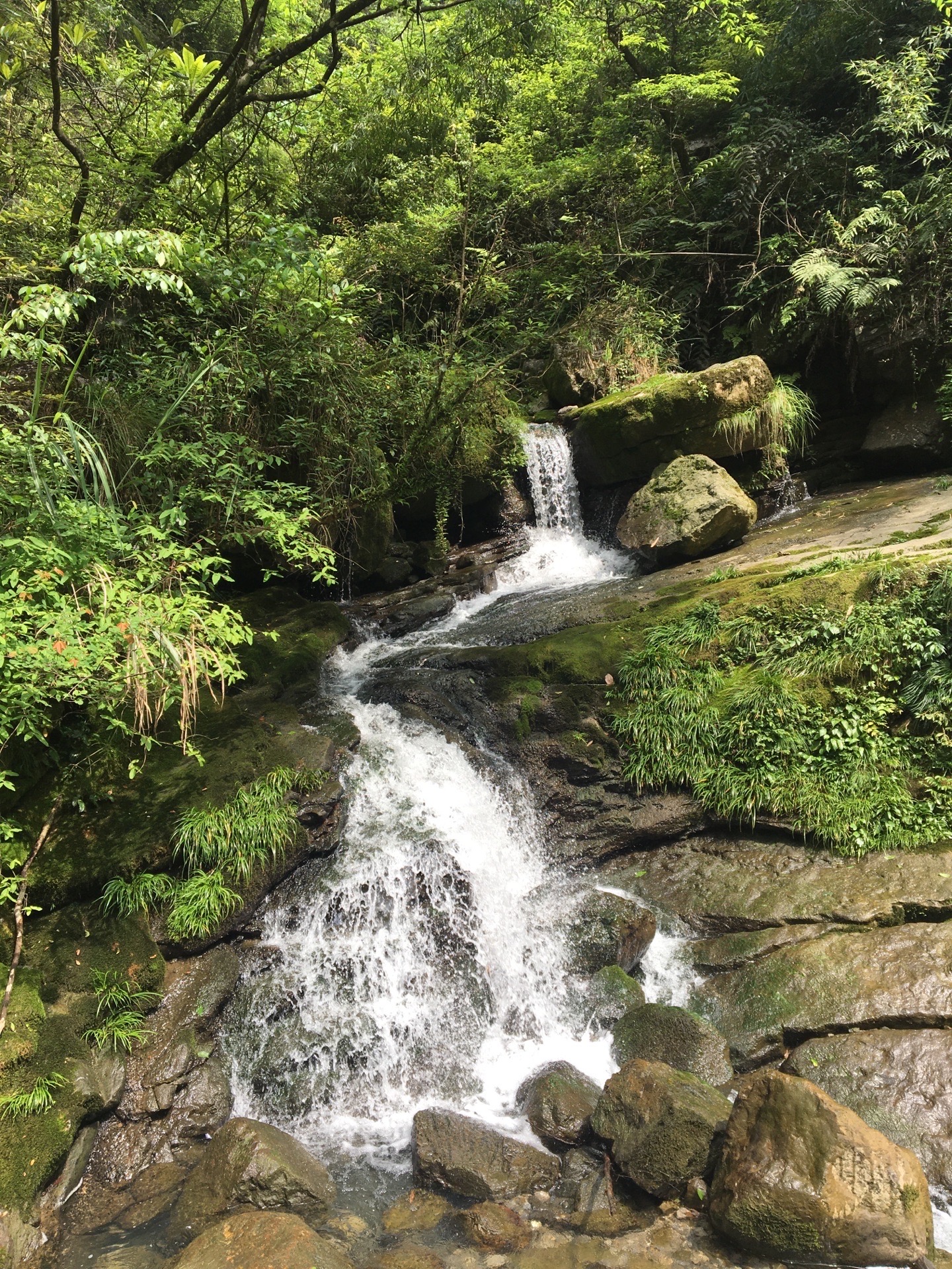 三峡竹海生态风景区