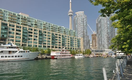 多伦多港湾
