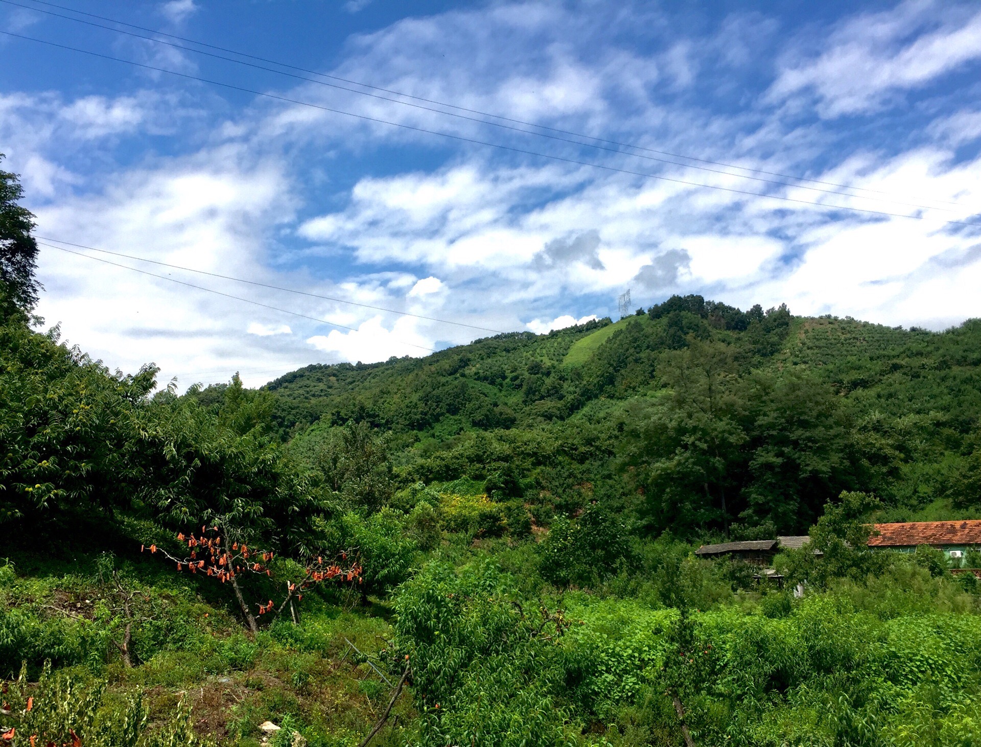 龙泉山庄-凉亭