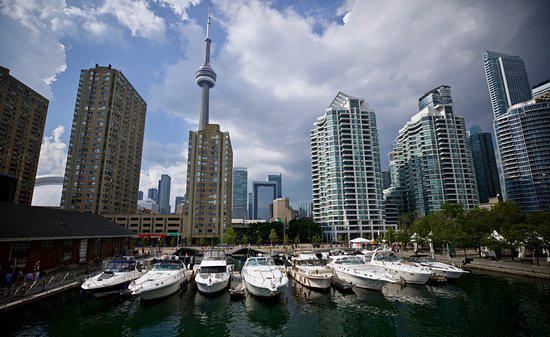 多伦多港湾