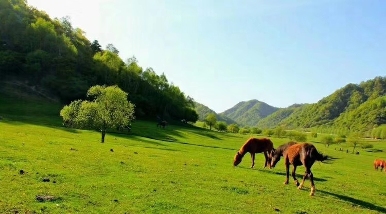 关山云凤风景名胜区太极八卦事景...