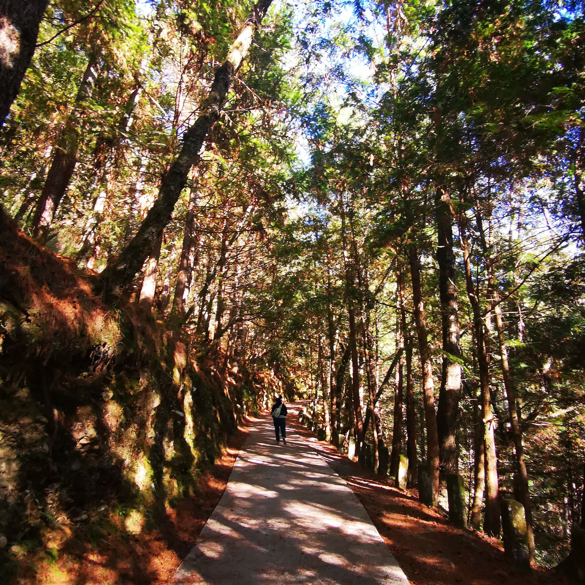 桃山瀑布步道