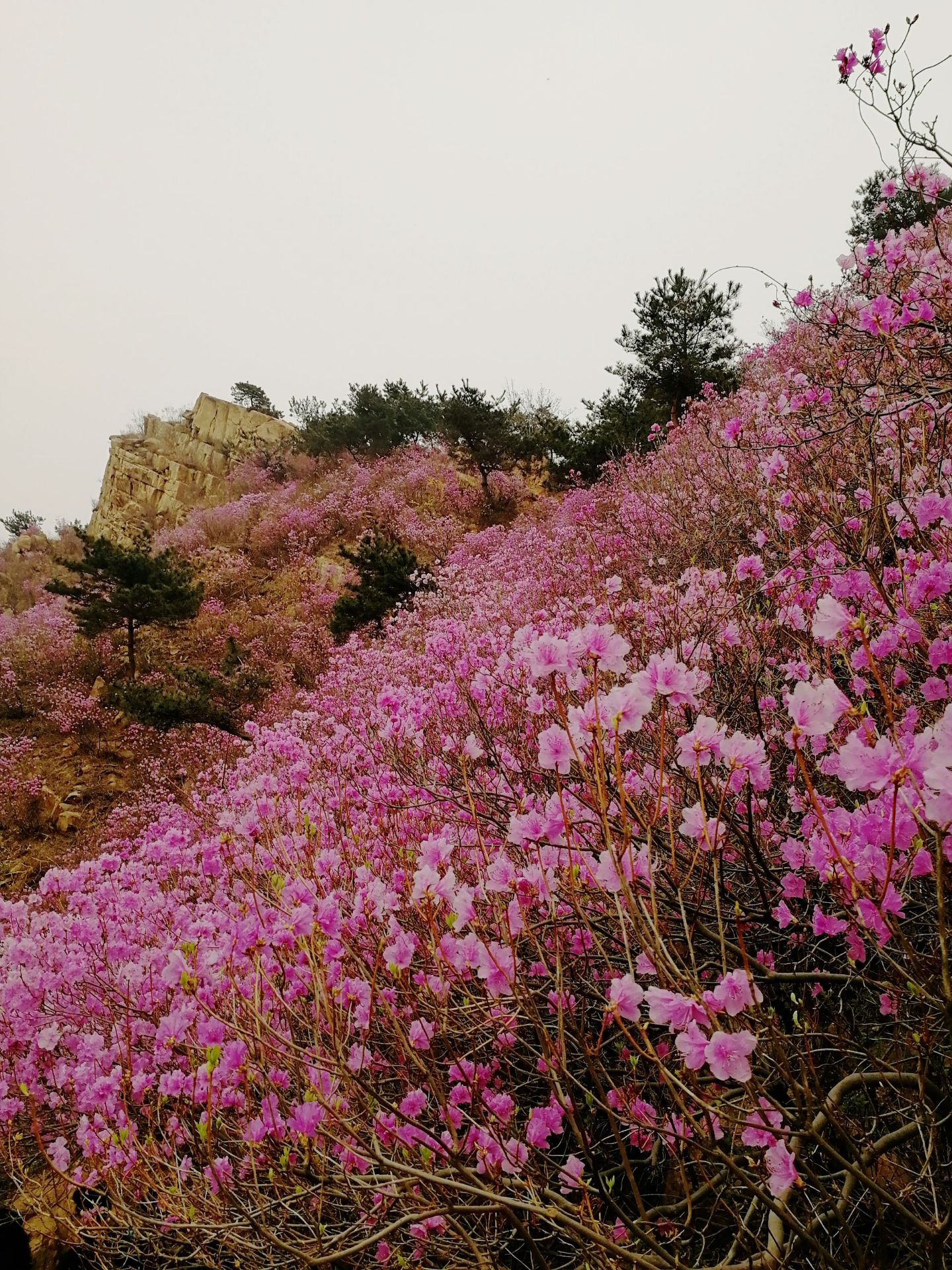 宗圣美术馆