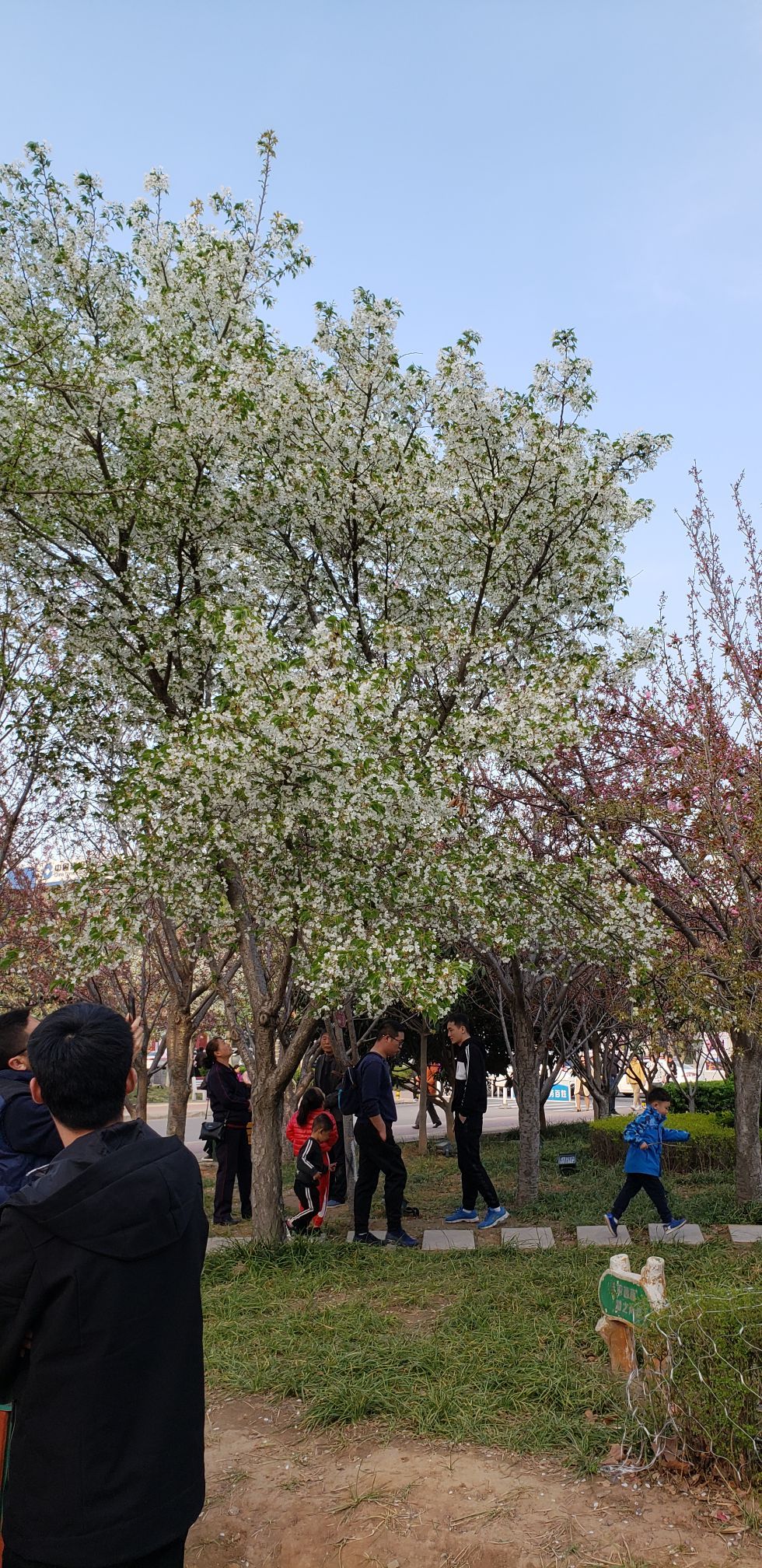 竹林寺