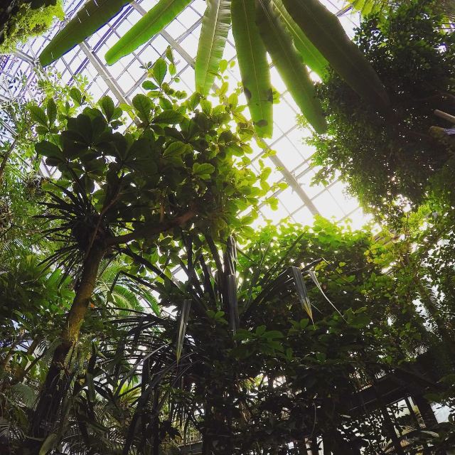 筑波市筑波実験植物園攻略 筑波市筑波実験植物園门票 游玩攻略 地址 图片 门票价格 携程攻略