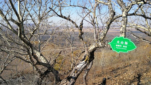 火海遗迹