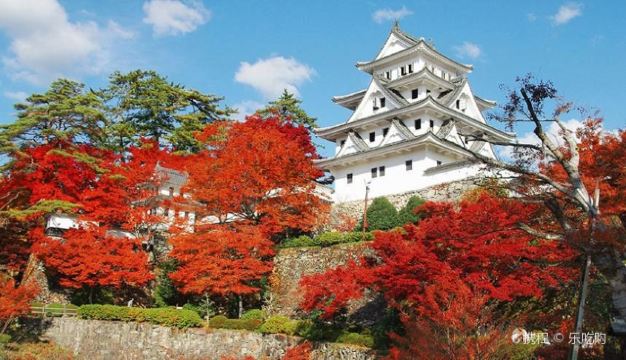 八幡山城附近团购