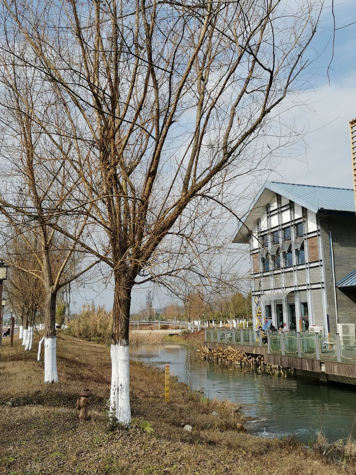 小枧城市生态湿地公园