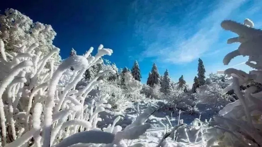 长白山雪岭