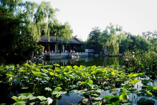 漫步清华园,水木荷塘,旧校新颜