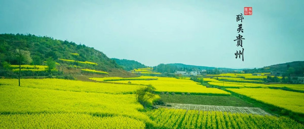 贵阳gdp比较好的县城_贵阳公交巴士好口罩(3)