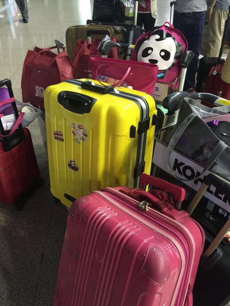              六人大包小包的行李