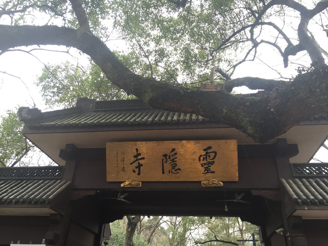杭州楼外楼人均消费_杭州楼外楼价目表