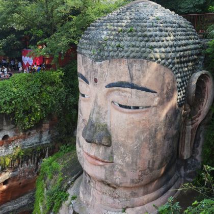 乐山大佛+黄龙溪一日游 特色午餐 登山游大佛 三环内接早