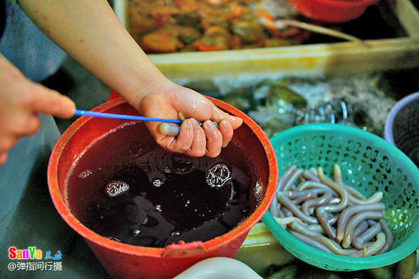 肥美的沙虫,平时以蚕食沙粒等为生,但身体结构简单,故洗去肠内沙粒