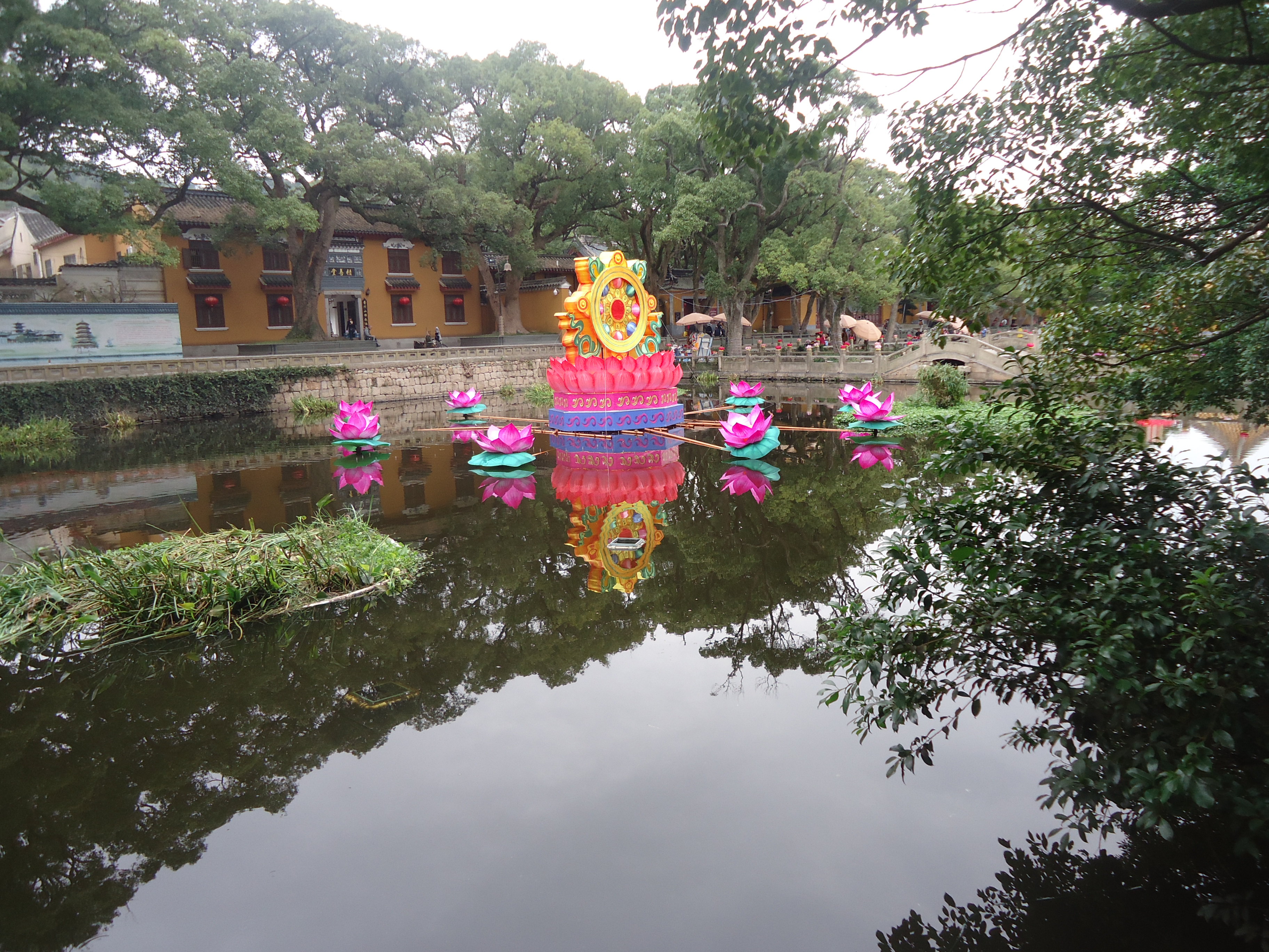 普陀山海印池位於普陀山第一大禪寺普濟寺的門口,又叫做蓮花池,放生池