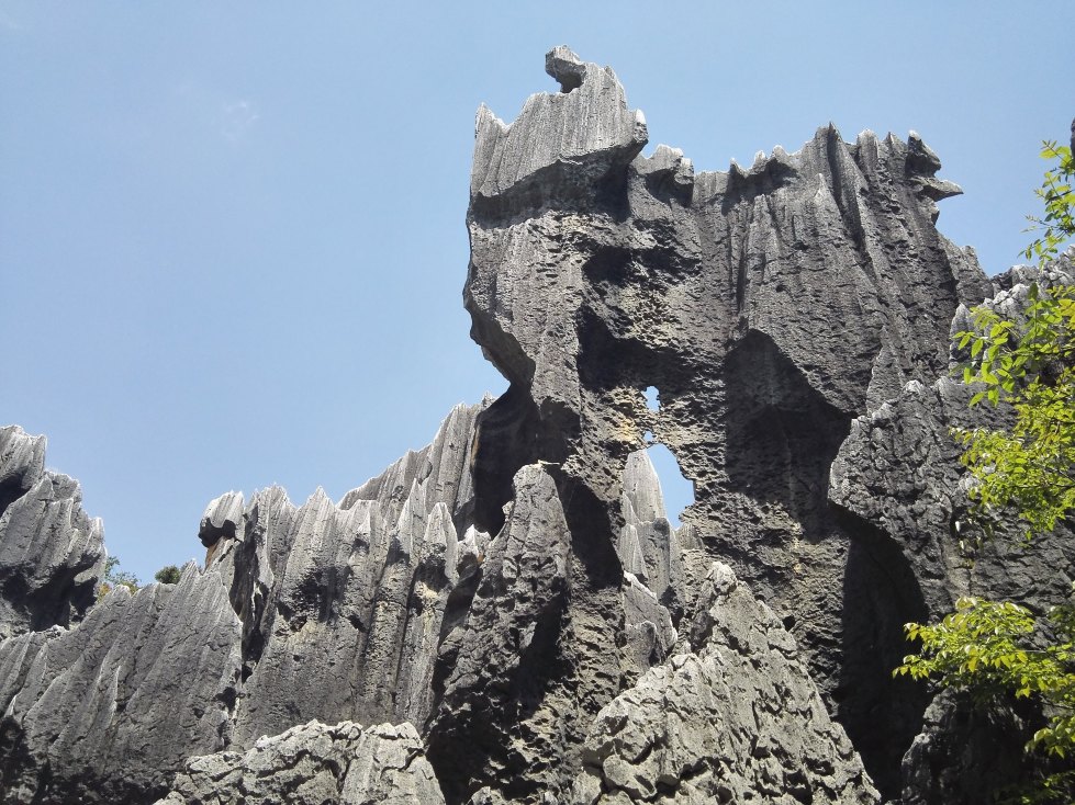 晒风景-昆明 大石林里面的石头基本上都是光秃秃的,看的久了,会觉得有