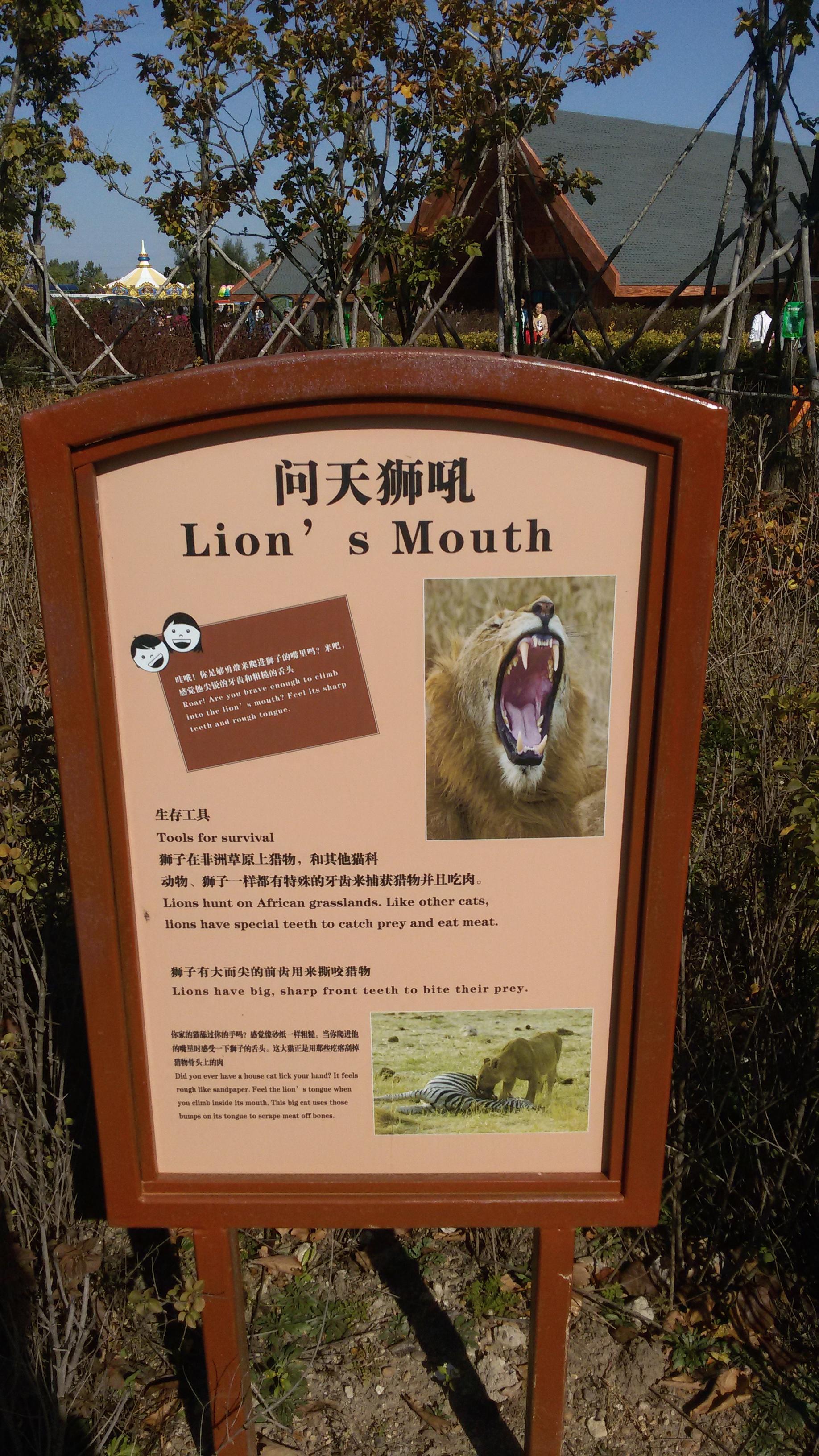 齊齊哈爾市龍沙動植物園感悟:孩子流連,大人休閒;親近自然,呵護家園