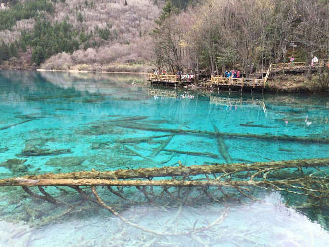 神奇九寨。缘份让我们相遇!