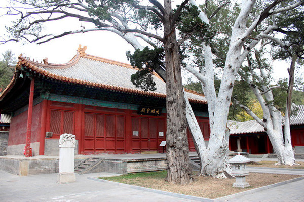 进了山门,里面的大殿上高悬着一块匾《法海禅寺,是赵朴初题字.