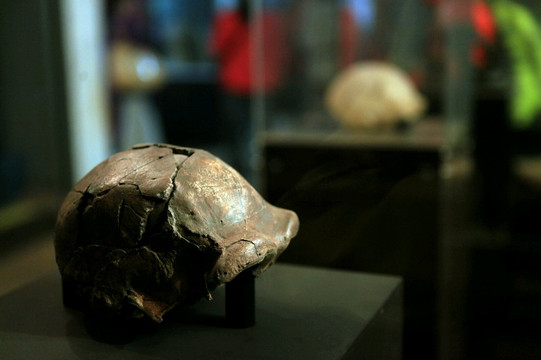 初探东非之结缘"夏娃"拜访"圣三一"