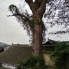 湘西行--第5天--怀化高椅村、粟裕故居及纪念馆