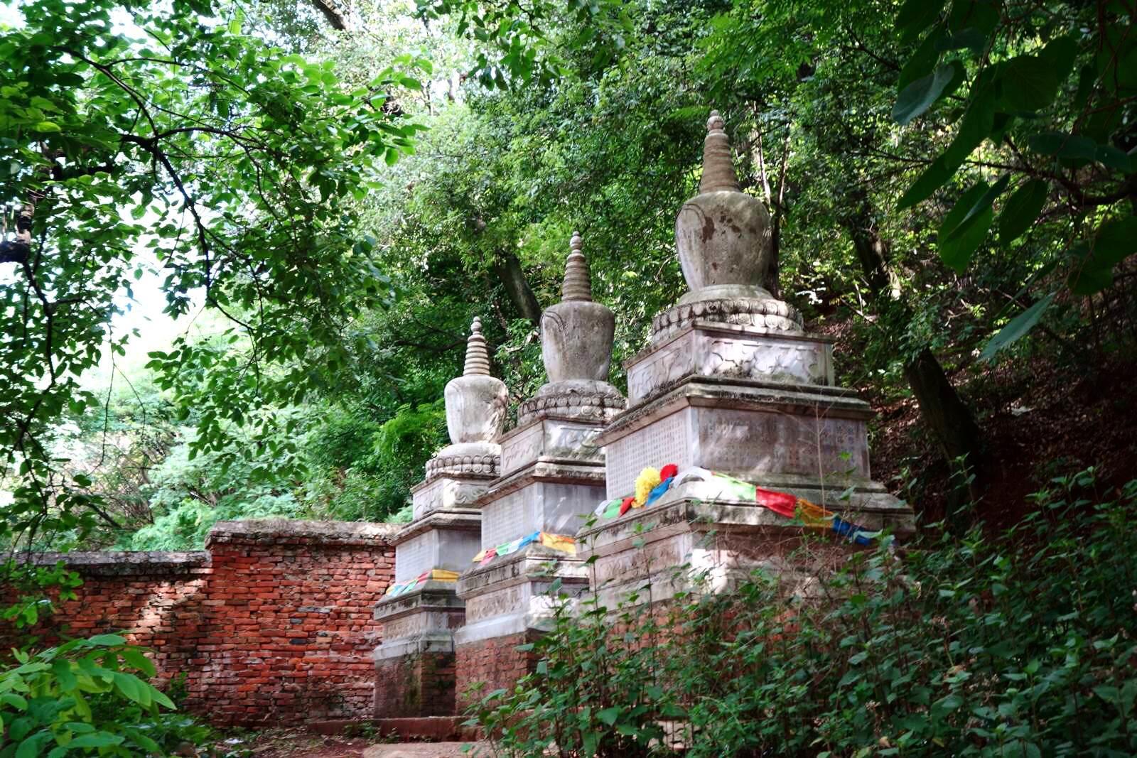 寺廟後建有墓塔,是誰的墓沒記住. 海源寺