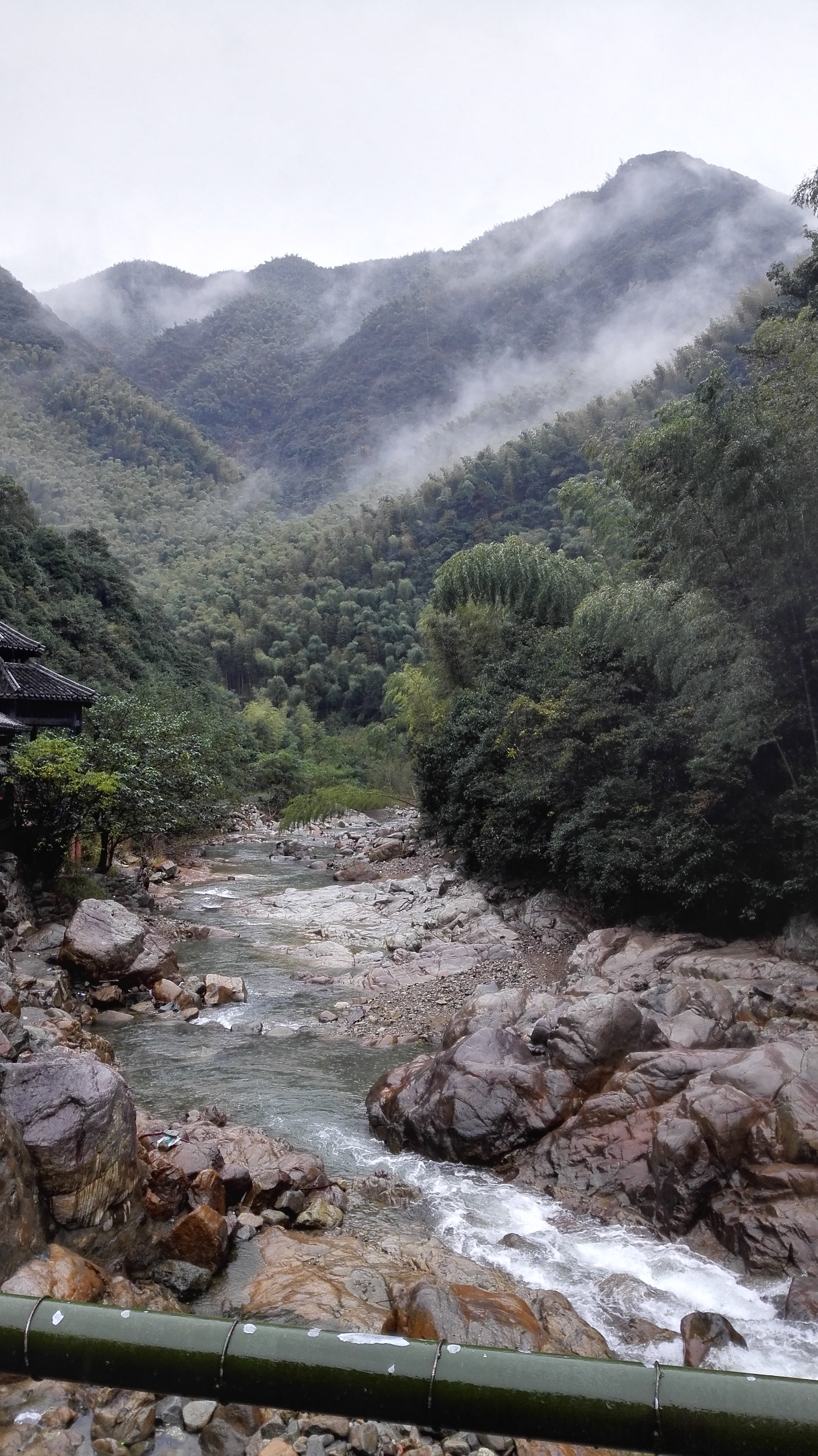 雨后芝林若仙境 - 余姚游记攻略【携程攻略】