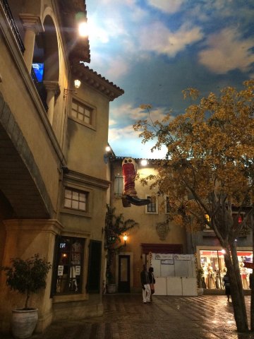 约堡唐人街&monte