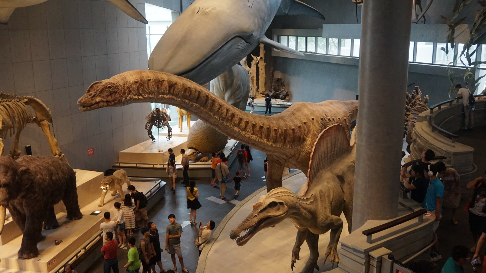 上海自然博物馆