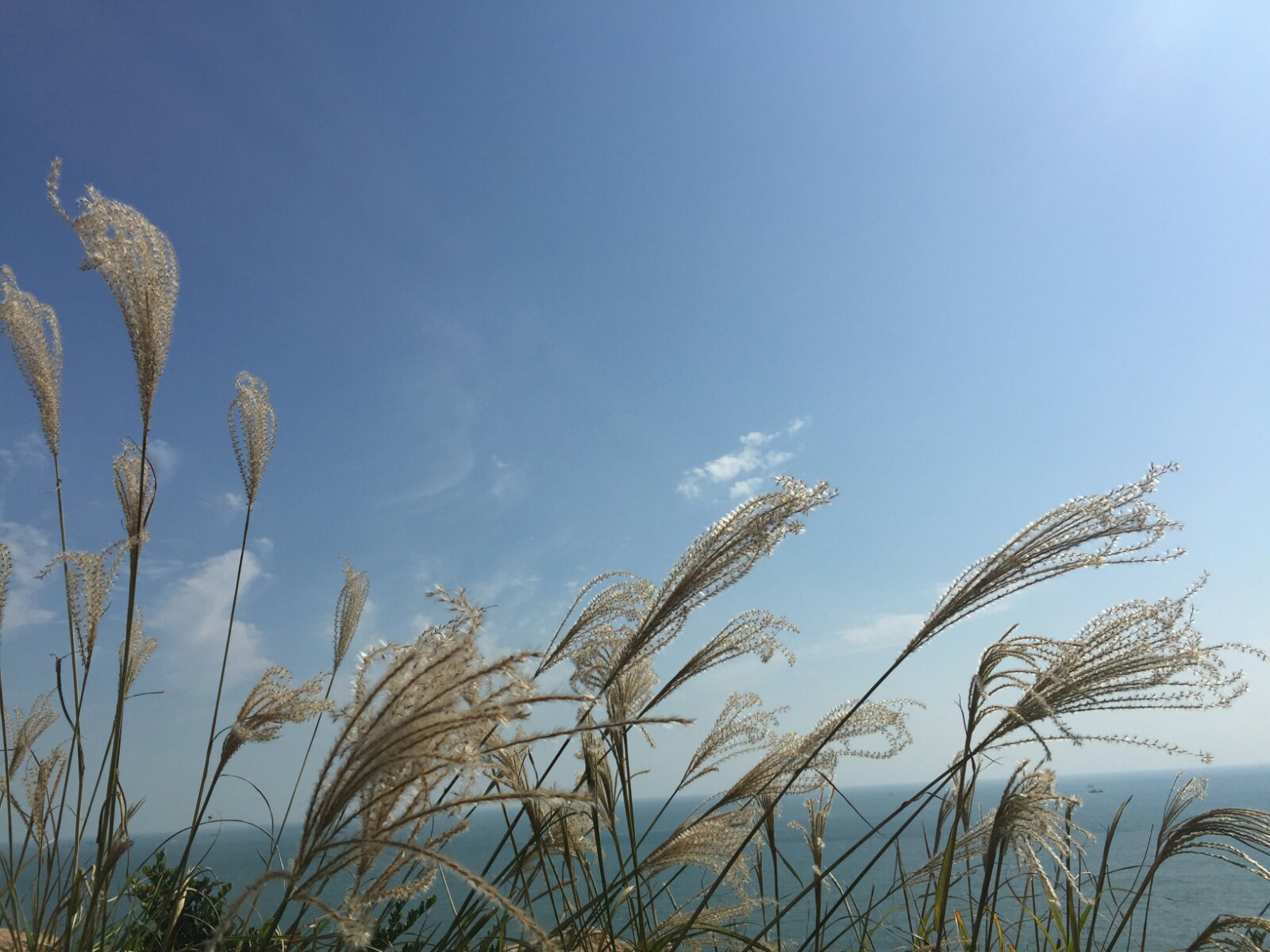 看着海水渐渐变蓝—枸杞岛休闲三日