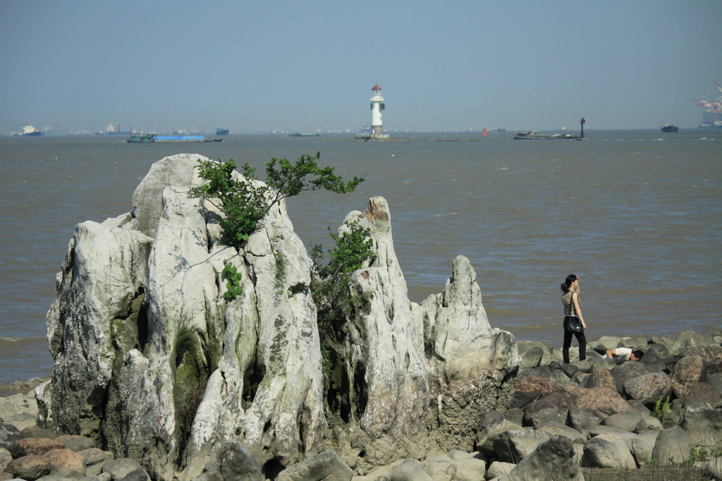 吳淞炮臺灣溼地森林公園