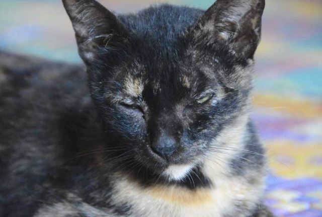 不怕路长,只怕心老——行走缅甸 - 曼德勒游记攻略【携程攻略】