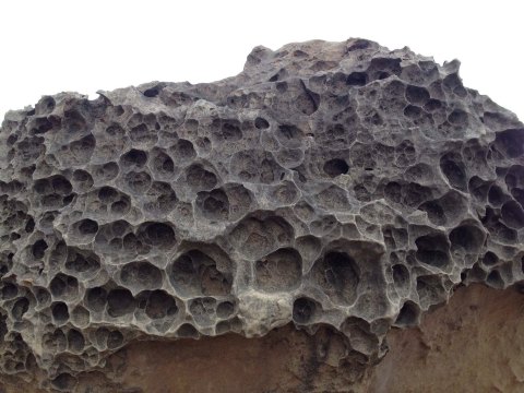 蜂窝石头 野柳地质公园