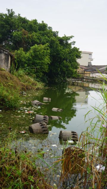 我的家乡在揭阳龙尾新丰村